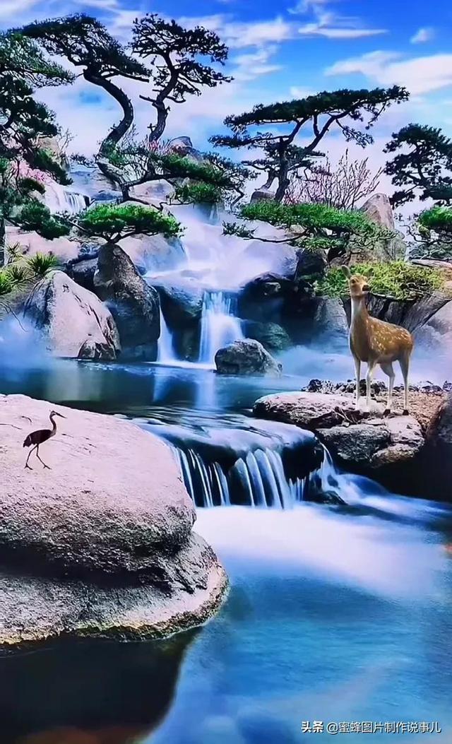 春雨直播app