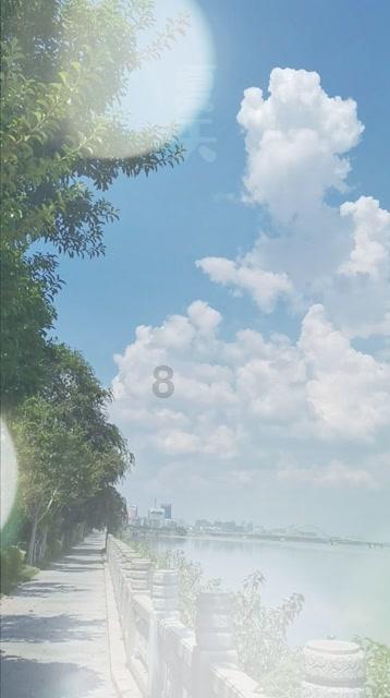 月光影视